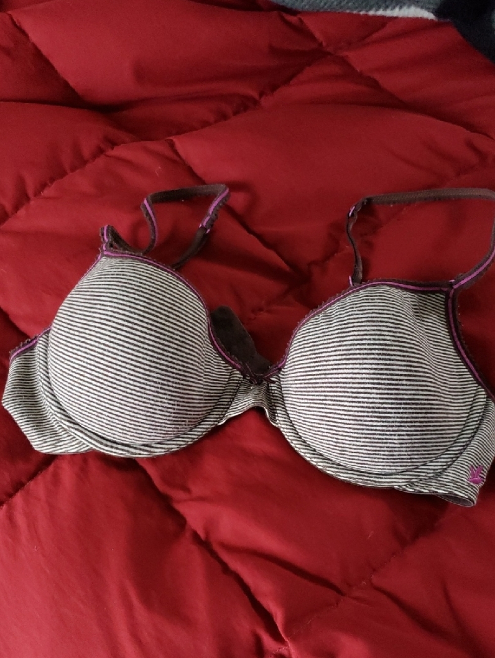Aerie Hannah Bra Brown Stripe
